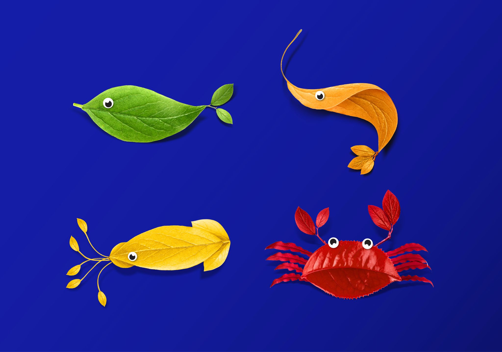 Mantra植物基素食海鮮食品包裝設(shè)計(jì)，藍(lán)色品牌識(shí)別+植物葉子海洋生物