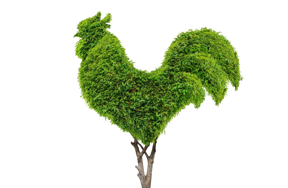 Greenwise 高植物蛋白素食肉食品包裝設(shè)計(jì),植物建模動(dòng)物圖案 Greenwise 高植物蛋白素食肉食品包裝設(shè)計(jì),植物建模動(dòng)物圖案