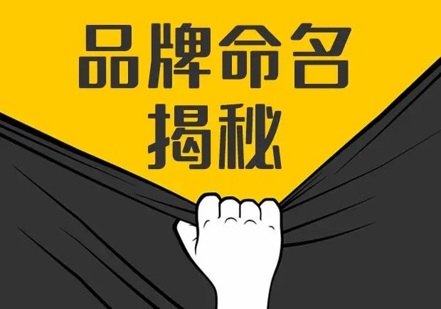 10個新興小眾有一定影響力的中小品牌命名及其命名方式 10個新興小眾有一定影響力的中小品牌命名及其命名方式