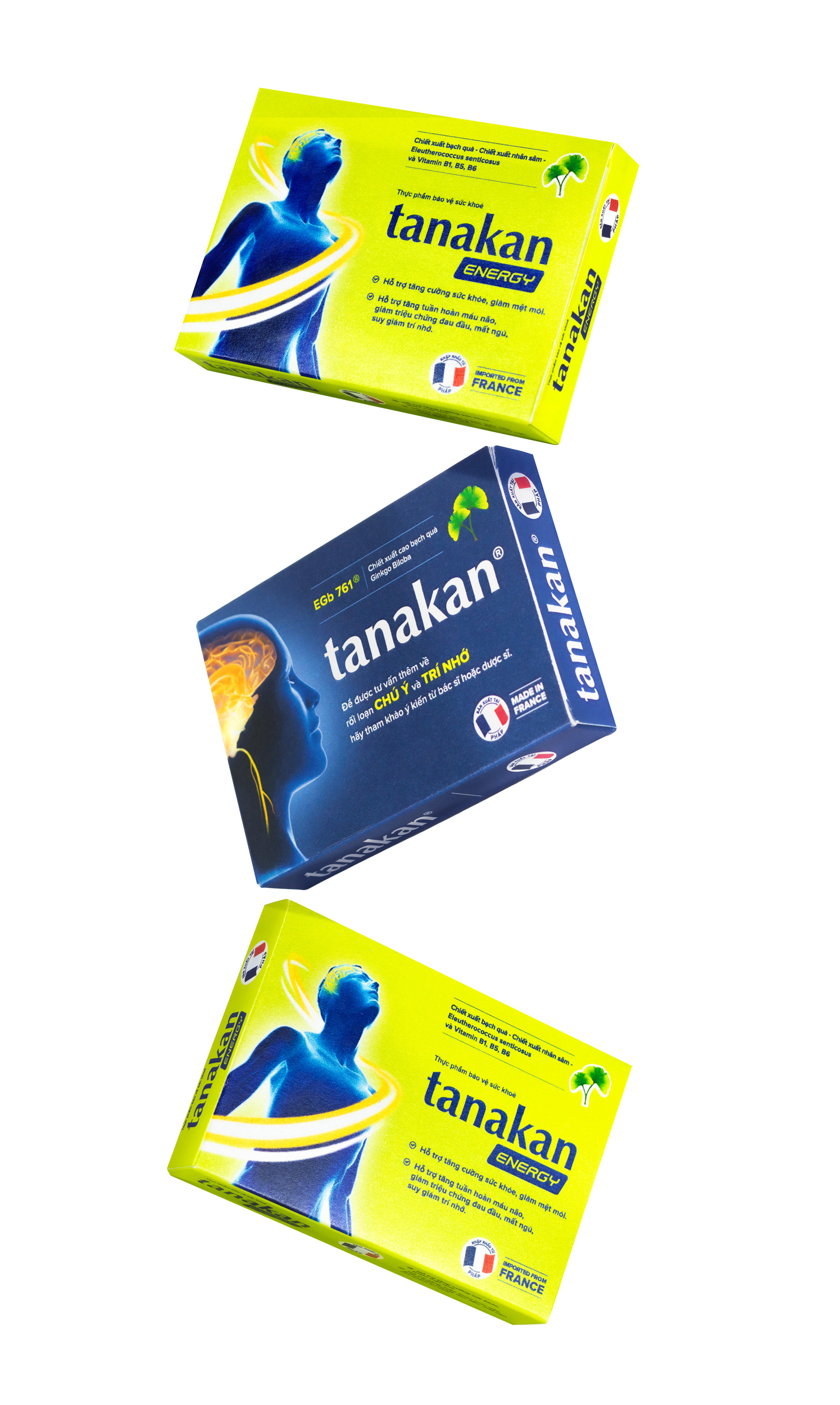 Tanakan 銀杏葉刺五加心腦健康藥品保健品包裝設計 Tanakan 銀杏葉刺五加心腦健康藥品保健品包裝設計