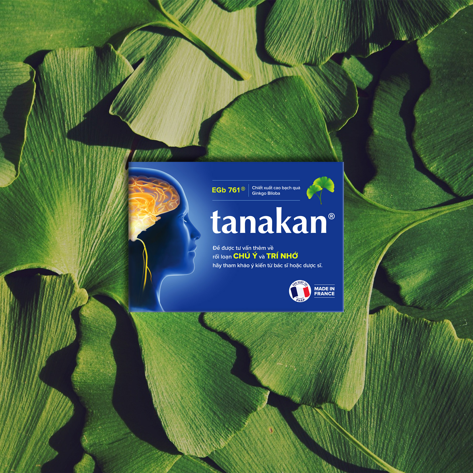 Tanakan 銀杏葉刺五加心腦健康藥品保健品包裝設計 Tanakan 銀杏葉刺五加心腦健康藥品保健品包裝設計