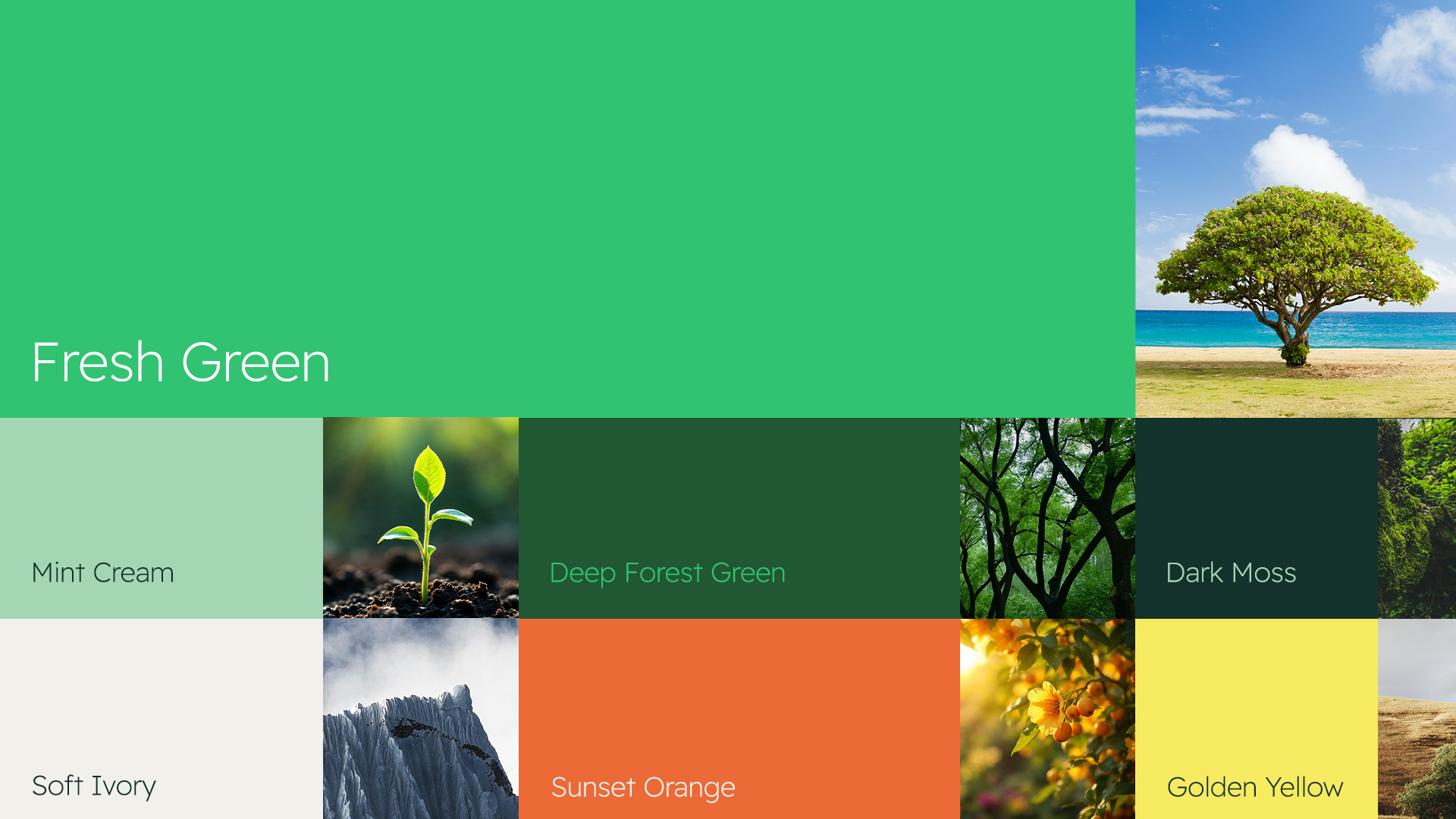 Greenists農(nóng)業(yè)教育學(xué)院綠色G字母logo設(shè)計(jì)vi視覺(jué)形象設(shè)計(jì)
