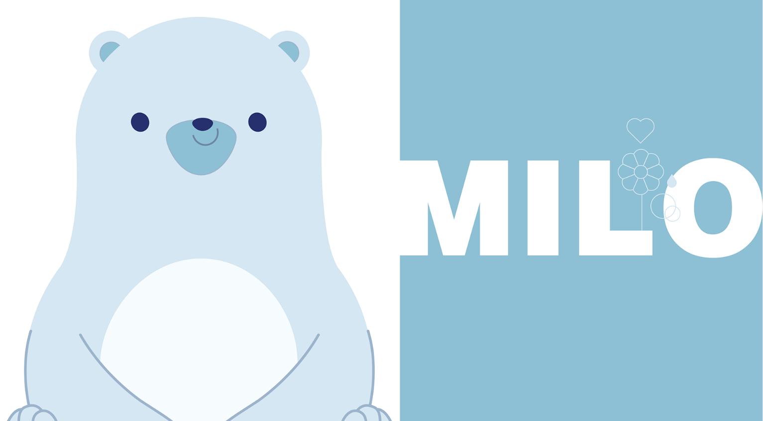 chicco嬰兒天然日化洗護(hù)產(chǎn)品“熊貓”吉祥物設(shè)計包裝設(shè)計