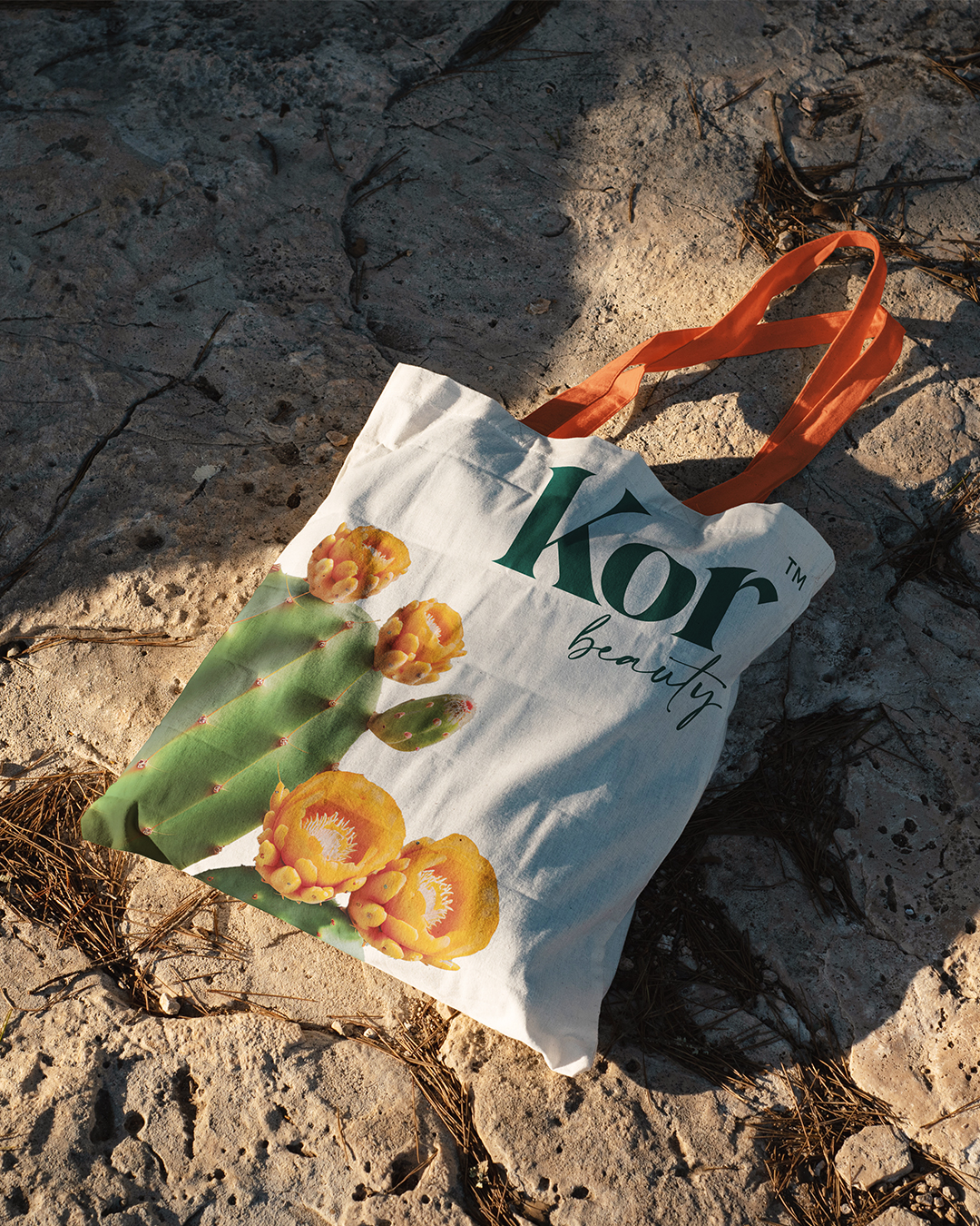 KOR皮膚補(bǔ)水革命性化妝護(hù)膚品護(hù)理品牌字體logo設(shè)計(jì)與藍(lán)綠色包裝設(shè)計(jì)