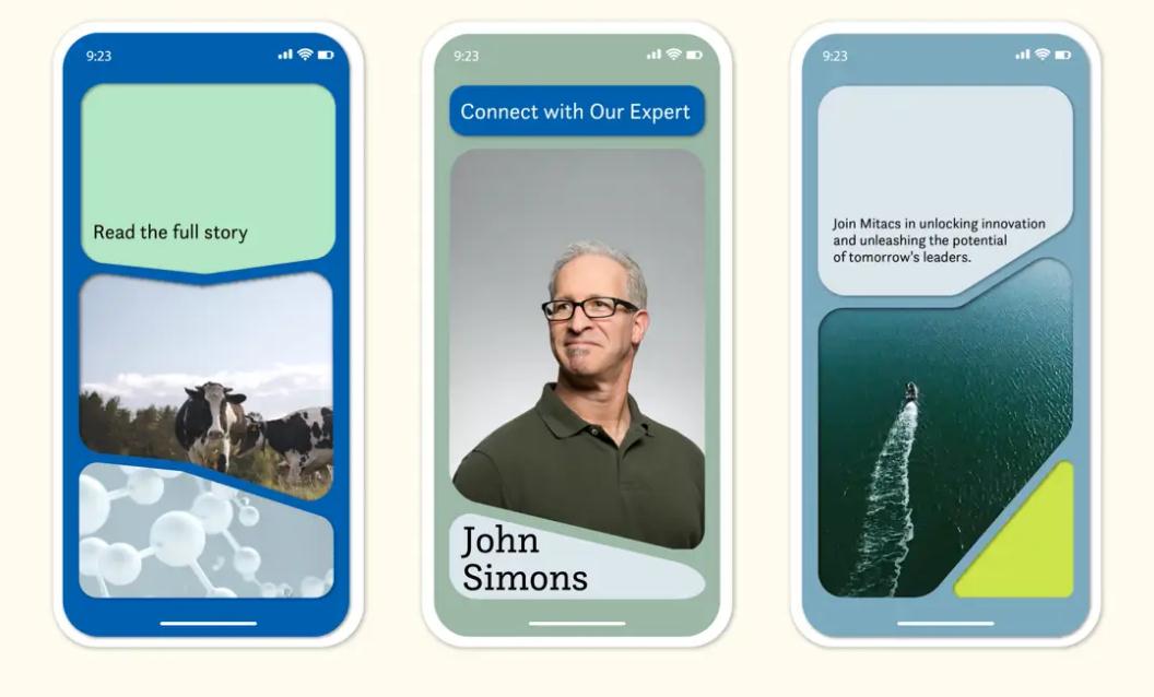 加拿大Mitacs企業(yè)創(chuàng)新孵化器投資公司新品牌視覺設(shè)計logo&vi設(shè)計