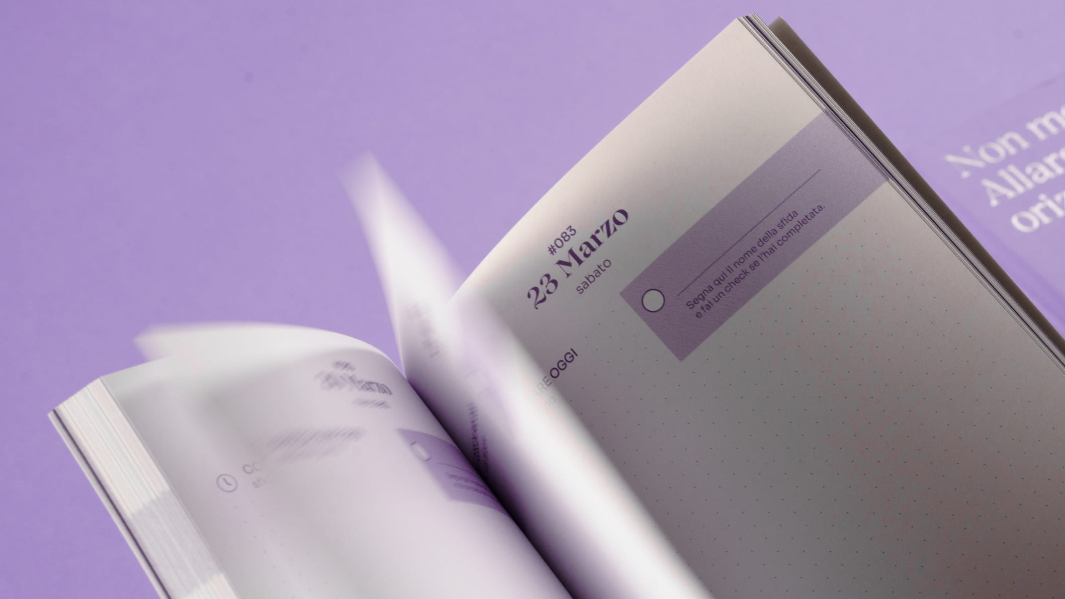 Efficacemente 教育課程套件禮盒包裝設(shè)計(jì)平面冊(cè)子設(shè)計(jì)，紫色幾何線條風(fēng)格