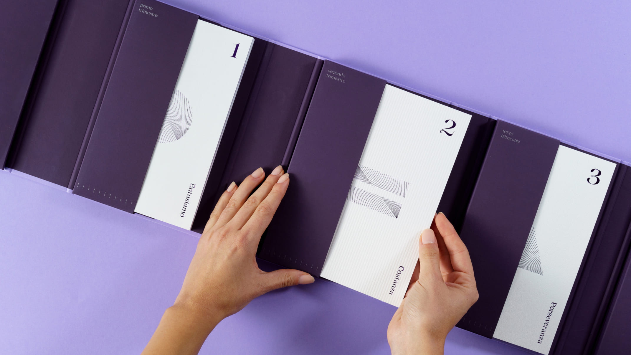 Efficacemente 教育課程套件禮盒包裝設(shè)計(jì)平面設(shè)計(jì)，紫色幾何線條風(fēng)格