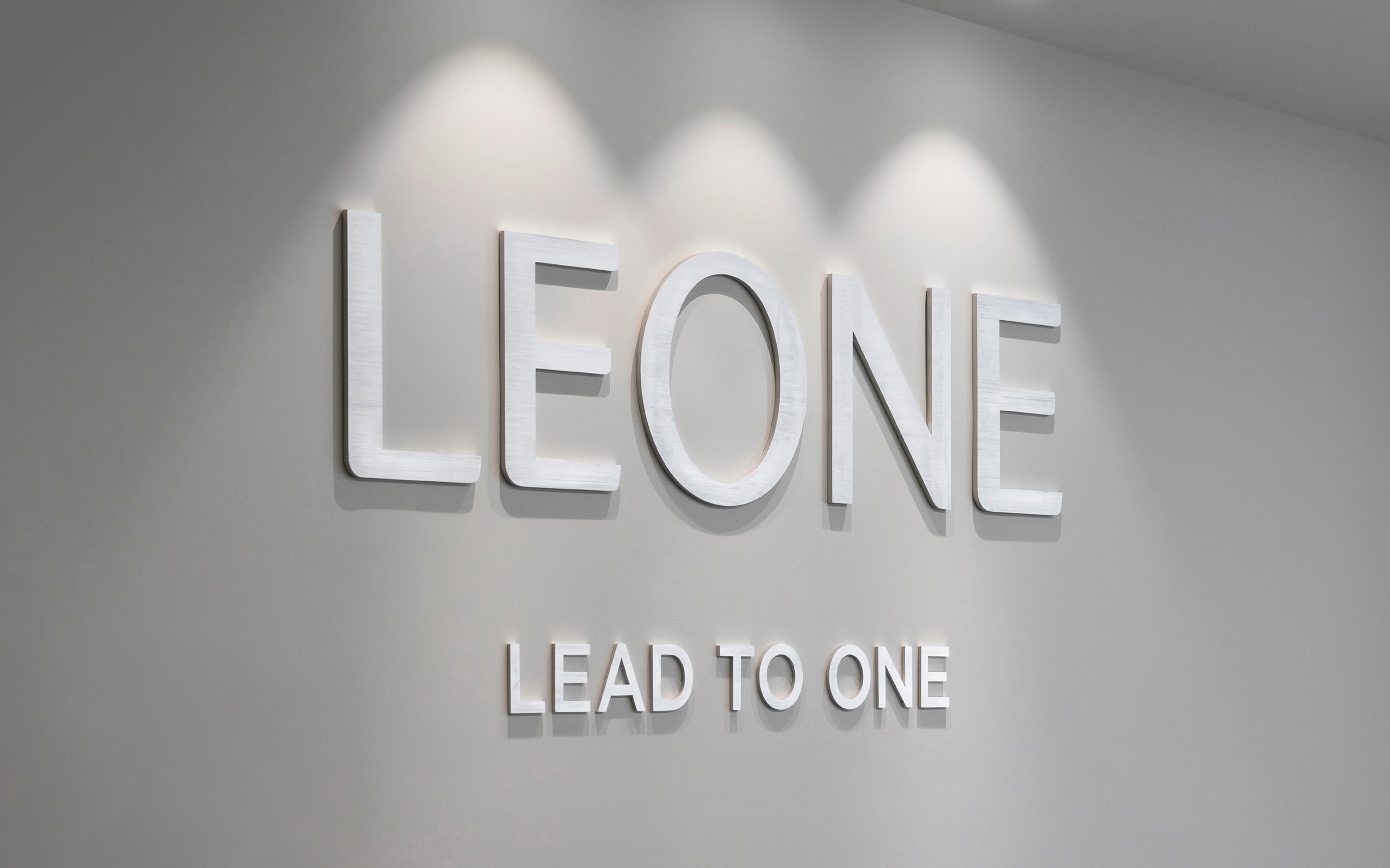 LEONE利昂稅務(wù)規(guī)劃咨詢集團(tuán)B2B企業(yè)logo&vi形象設(shè)計(jì)塑造，三葉旋轉(zhuǎn)圖案