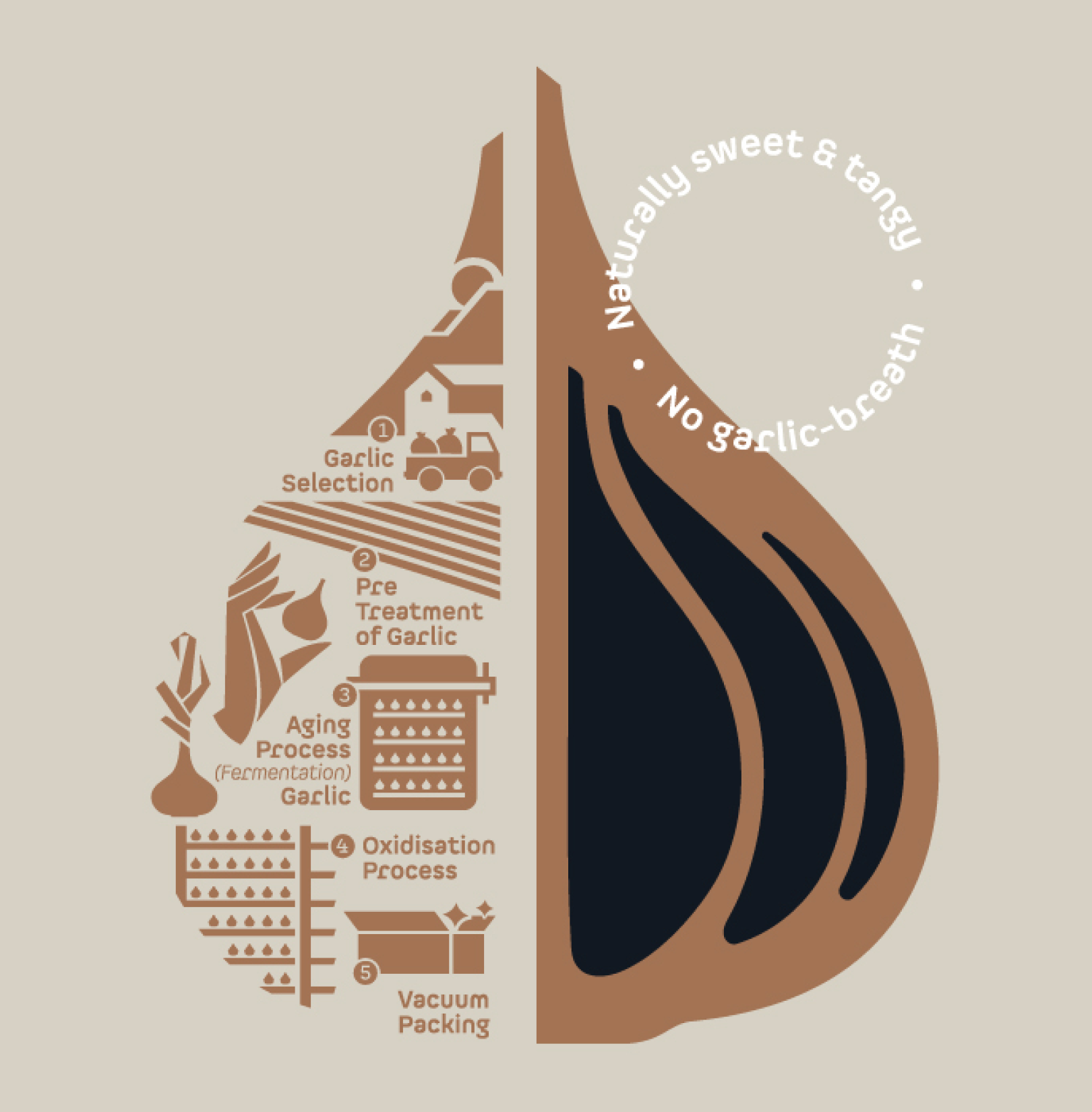 Kasaya黑蒜健康養(yǎng)生保健品品牌創(chuàng)建-命名-logo-包裝設(shè)計(jì)