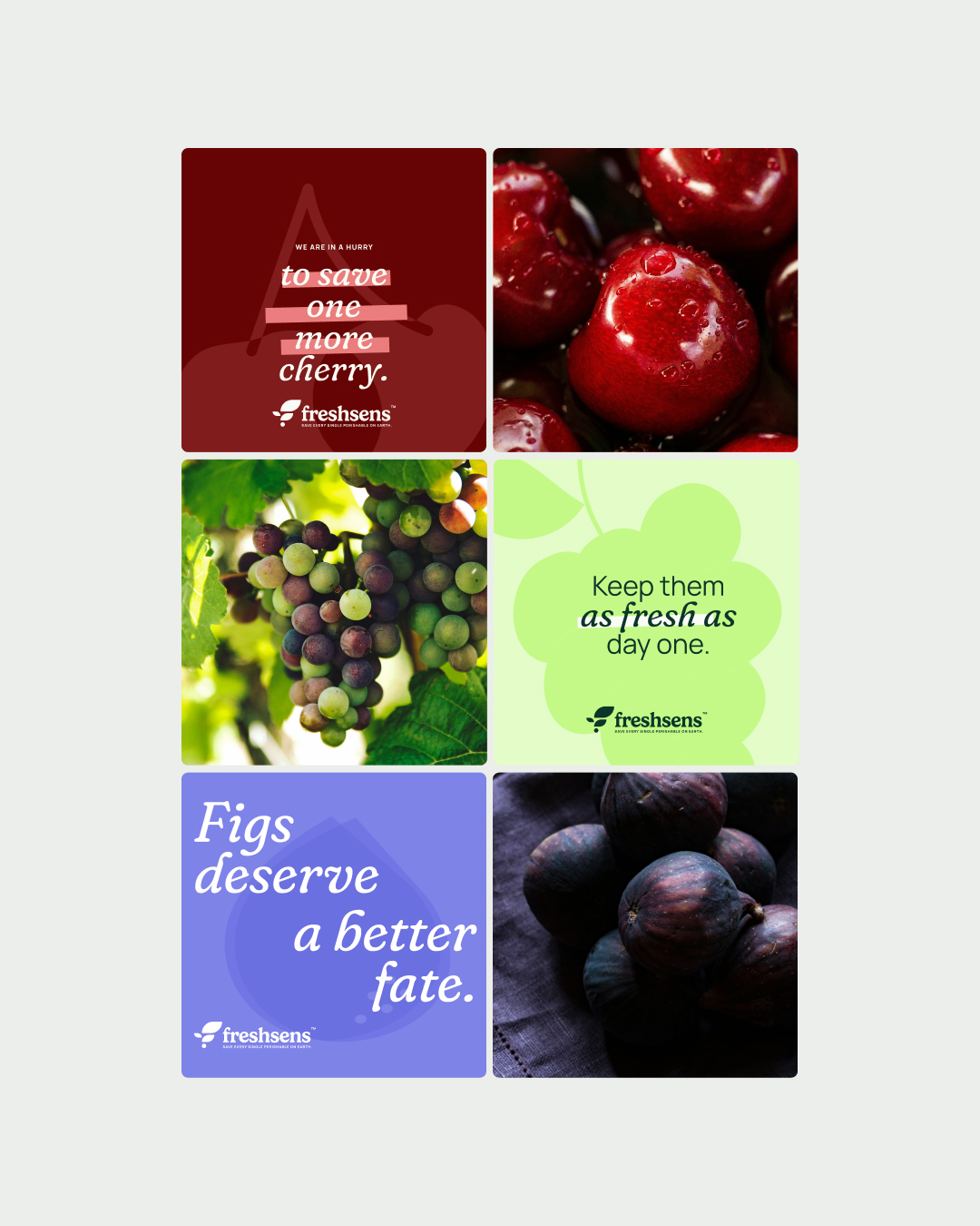 FreshSens農(nóng)業(yè)科技公司logo設(shè)計(jì)葉子元素