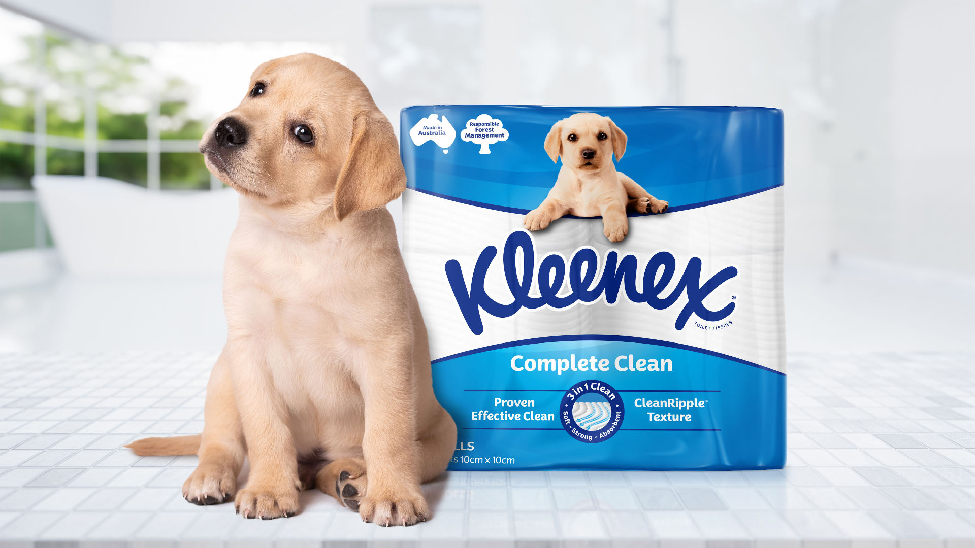 Kleenex 衛(wèi)生紙包裝設(shè)計拉布拉多小狗元素