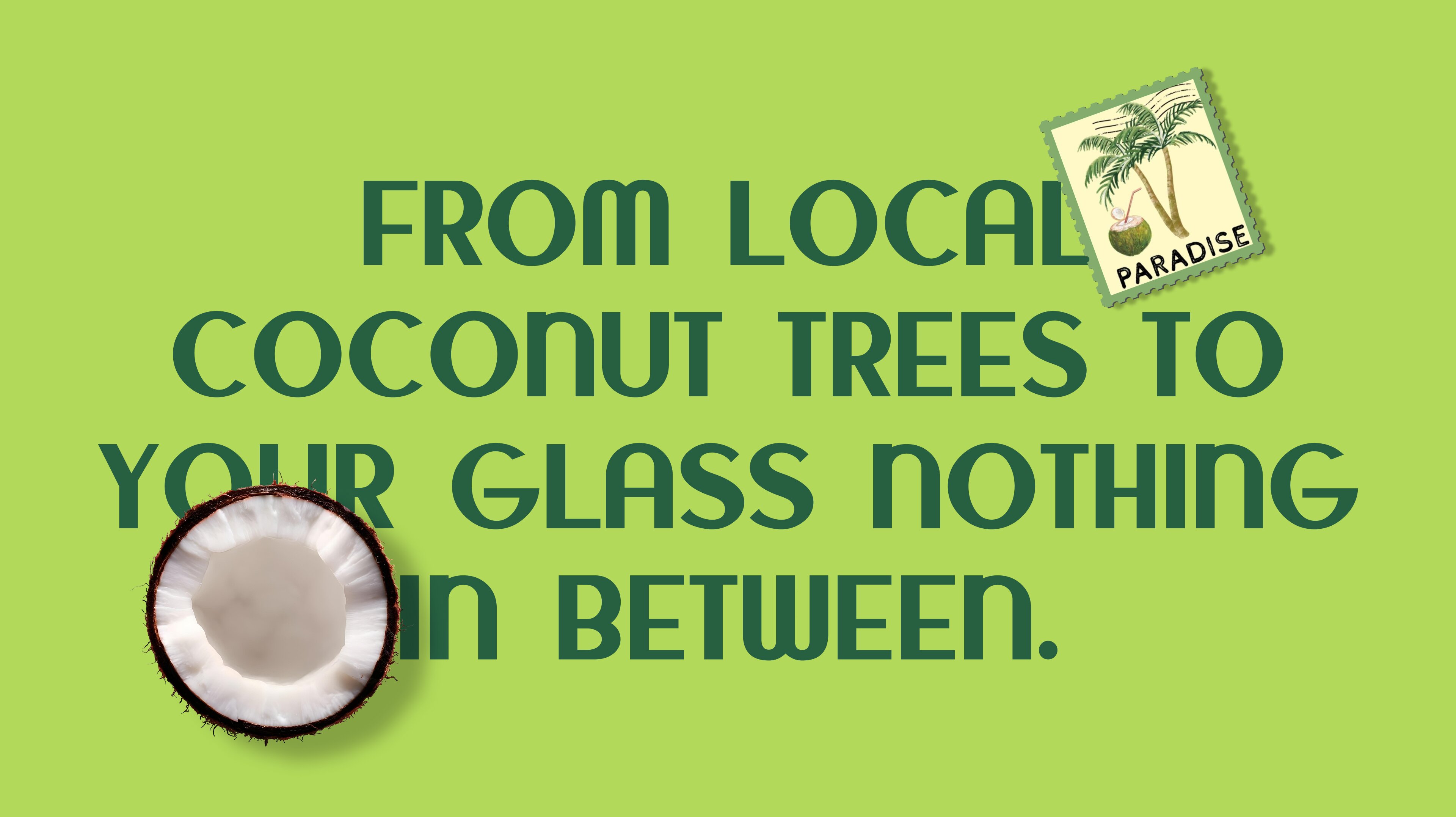 B Natural 椰子水包裝設(shè)計(jì)自然水彩綠色風(fēng)格-上海包裝設(shè)計(jì)公司