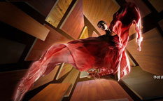 菲林格爾地板形象廣告創(chuàng)意設(shè)計(jì)