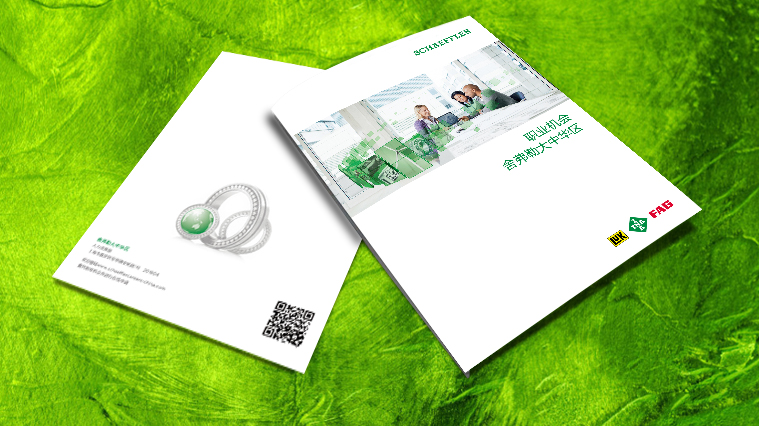 舍弗勒集團(tuán)招聘宣傳冊(cè)設(shè)計(jì)-上海工業(yè)品畫(huà)冊(cè)設(shè)計(jì)公司