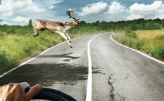 百適通剎車油潤滑油海報(bào)廣告創(chuàng)意設(shè)計(jì)-上海廣告創(chuàng)意設(shè)計(jì)公司