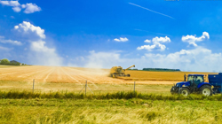 農(nóng)業(yè)農(nóng)產(chǎn)品策劃設計