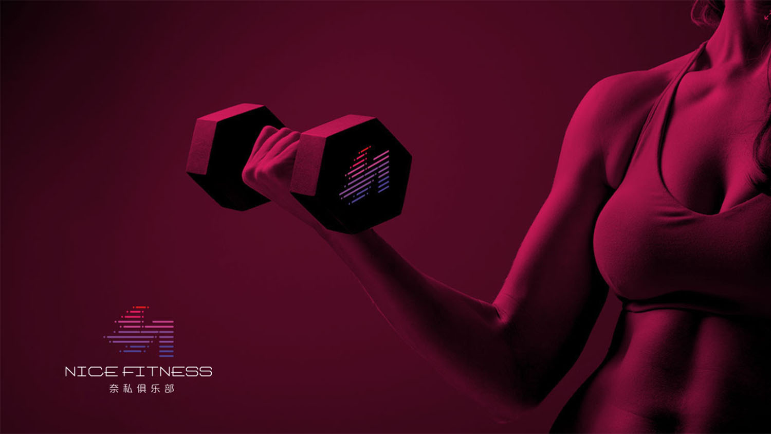 奈斯健身俱樂(lè)部高端會(huì)所logo設(shè)計(jì)vi設(shè)計(jì)