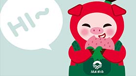涌禾農場有機草莓IP品牌策劃