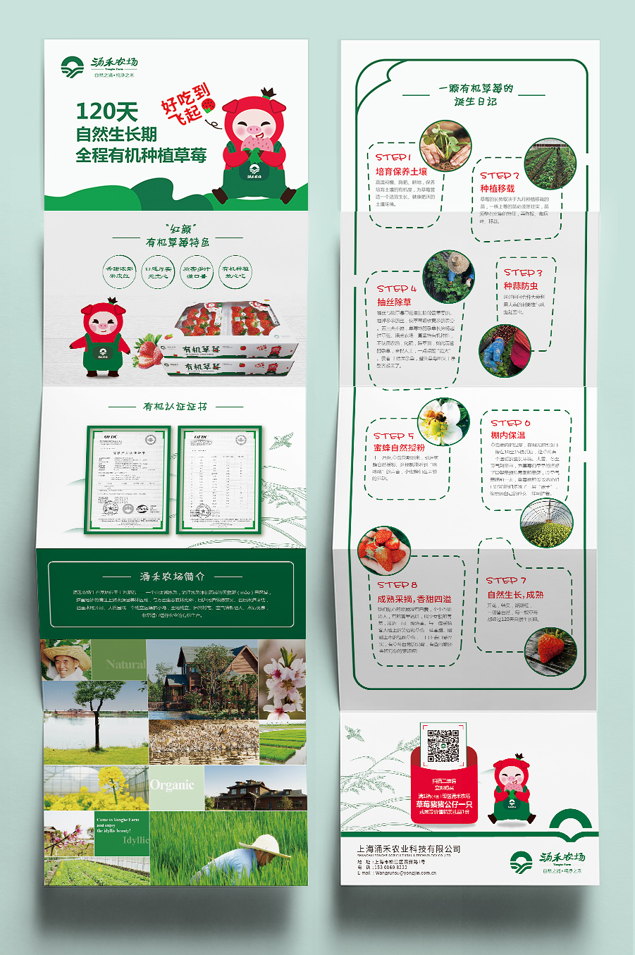 涌禾農(nóng)場有機草莓宣傳折頁設計