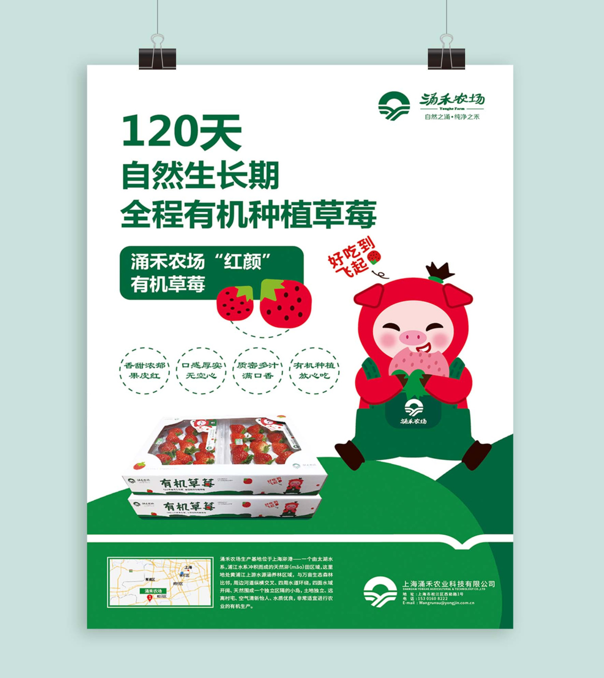 涌禾農(nóng)場有機草莓海報設計