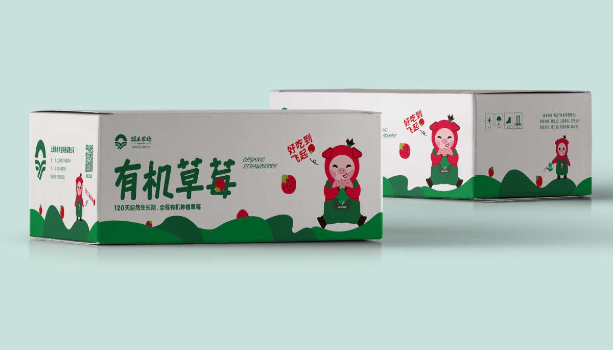 涌禾農(nóng)場有機草莓包裝設(shè)計