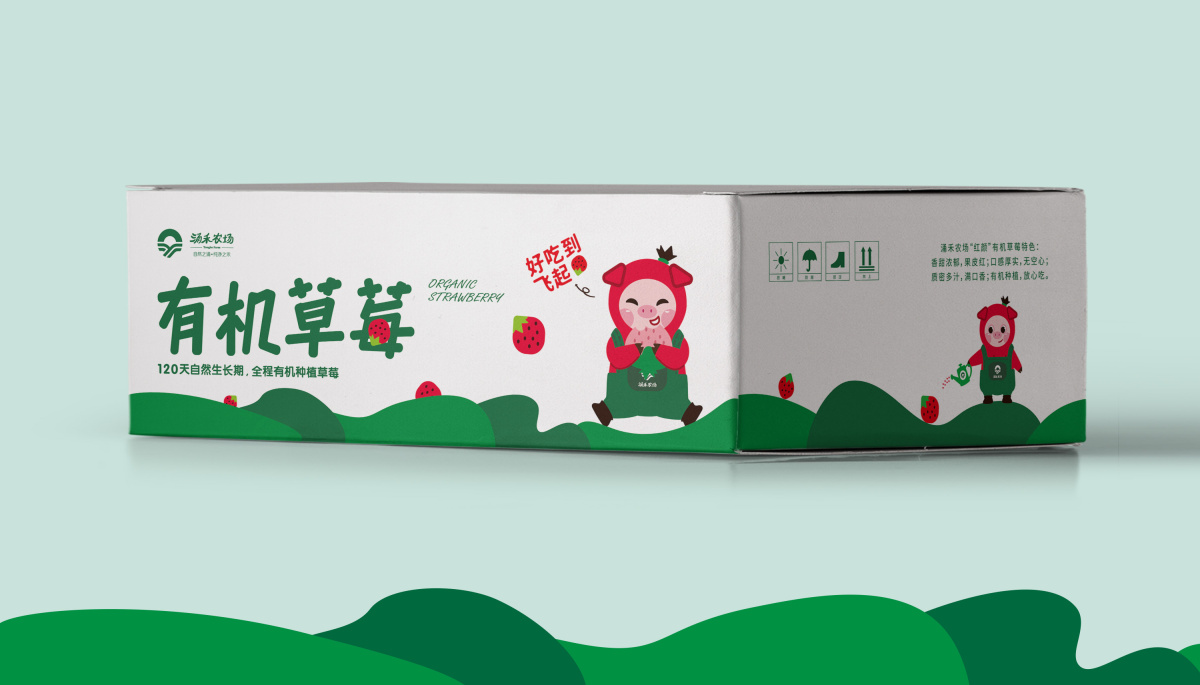 涌禾農(nóng)場有機草莓包裝設(shè)計