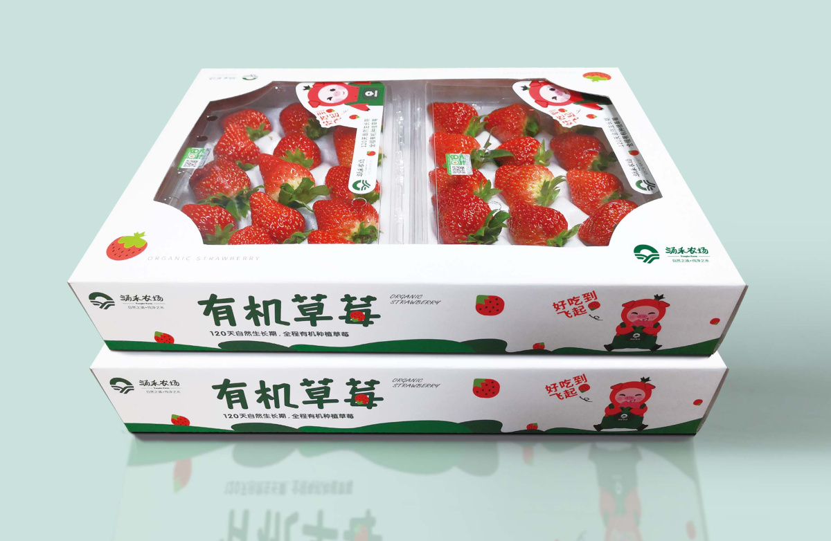 涌禾農(nóng)場有機草莓包裝設(shè)計