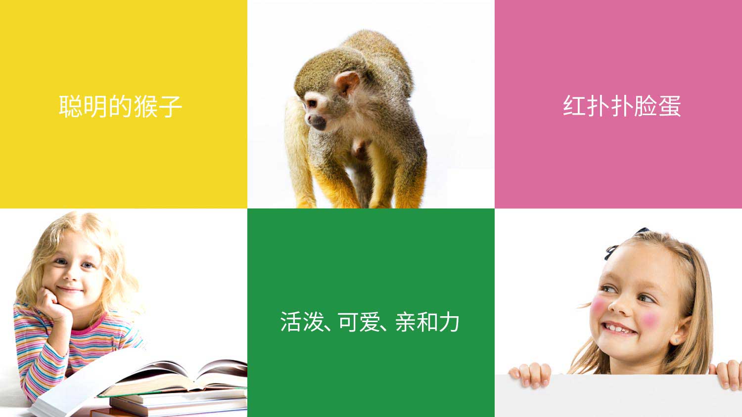 貝倍園兒童圖書“猴子”品牌logo設(shè)計吉祥物設(shè)計vi設(shè)計