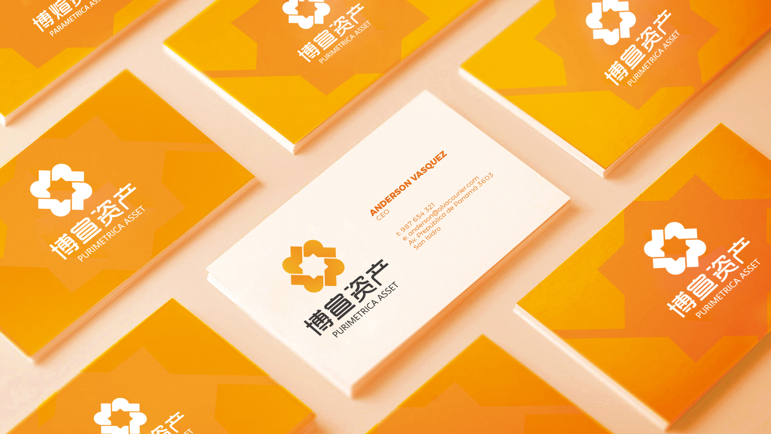 博宣投資管理公司logo設(shè)計(jì)提案