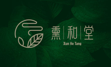 北京熏和堂中草藥熏蒸液熏香品牌命名logo設(shè)計vi設(shè)計包裝設(shè)計