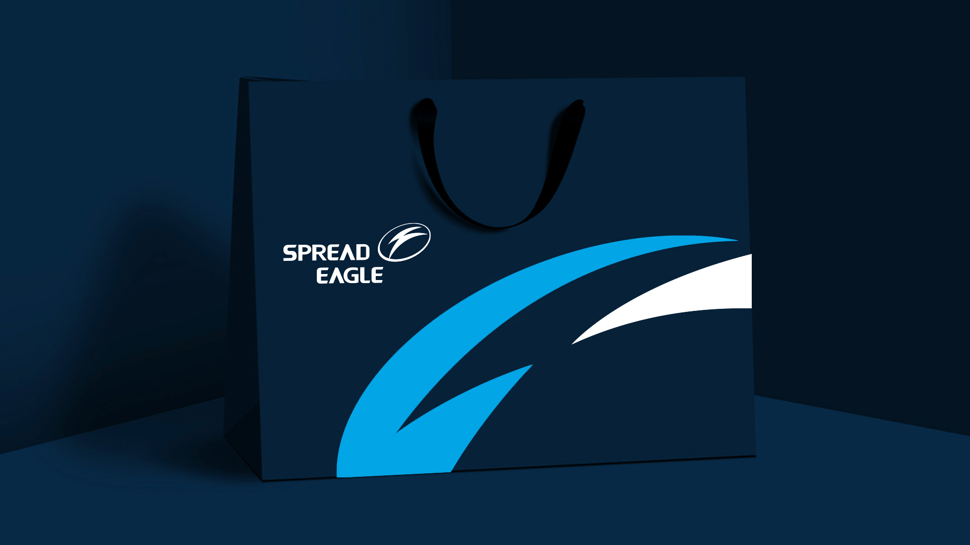 海翼汽車配件公司“H字母”企業(yè)logo設計與企業(yè)形象vi設計