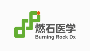 燃石醫(yī)學(xué)品牌vi形象設(shè)計(jì)