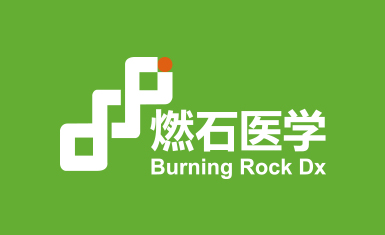 燃石醫(yī)學醫(yī)療品牌形象vi設(shè)計