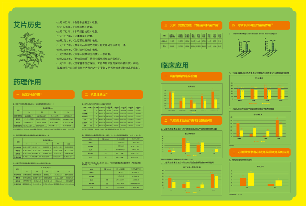 洺輝藥業(yè)艾納香艾片（左旋龍腦）中藥飲片包裝設(shè)計(jì)